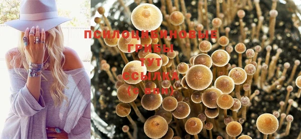кокс Сатка