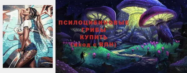 СК Саяногорск