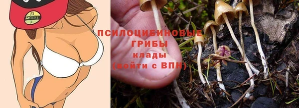 PSILOCYBIN Бородино